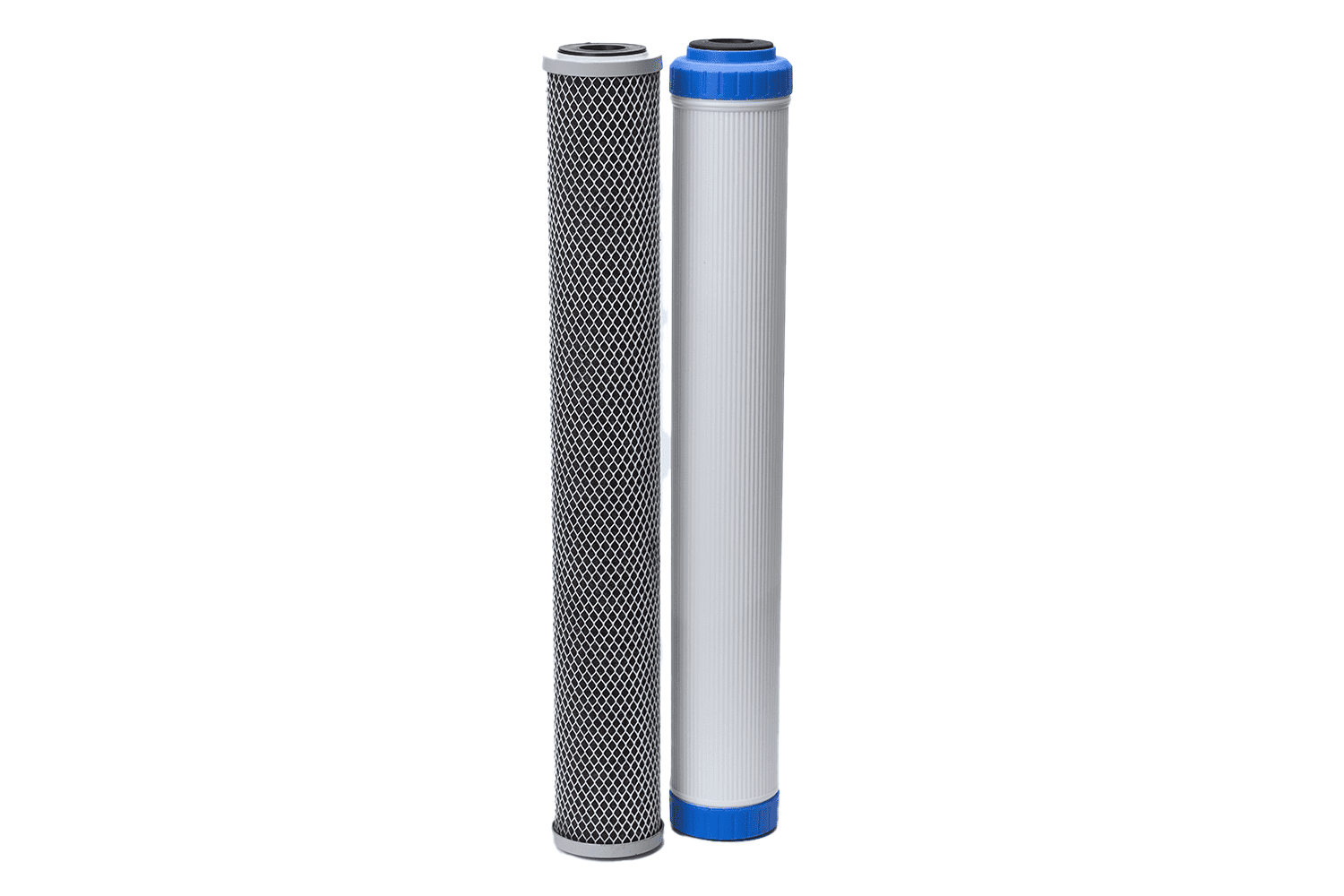 ASX200 Dual Cartridge ScaleX Water Filtration System By Amerec