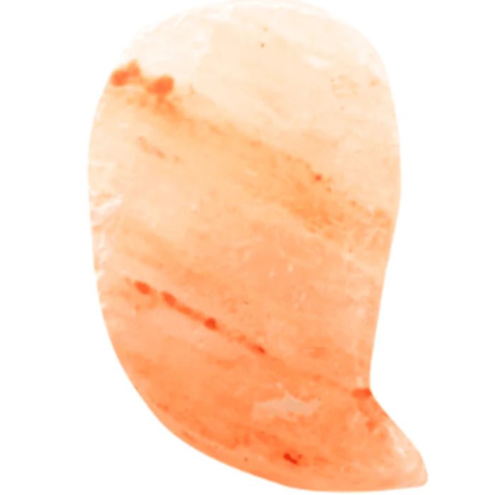 Himalayan Salt Stones - elitewellnesshq sauna essentials SLT - PB - LEAF - 1
