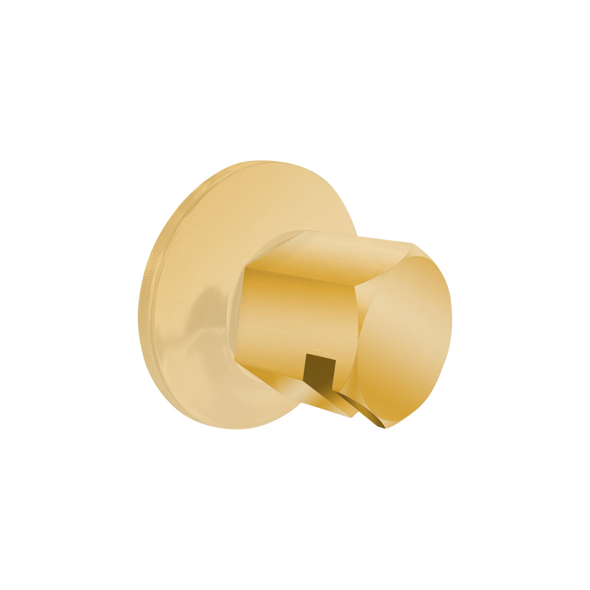 TSS-PG - elitewellnesshq Polished Gold (3/4in Rough)