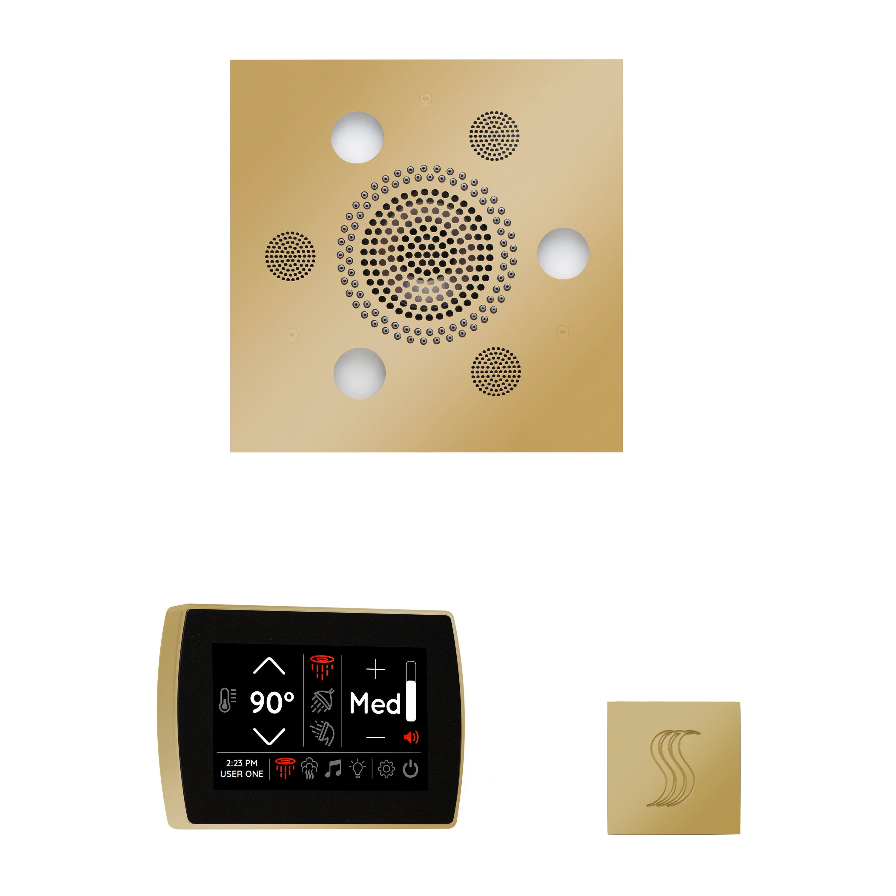 WSTPSS-PB - elitewellnesshq Polished Brass