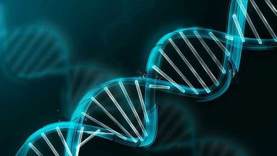 Biohacking Tools That CEOs, Athletes & High Achievers Actually Use in 2026 - elitewellnesshq