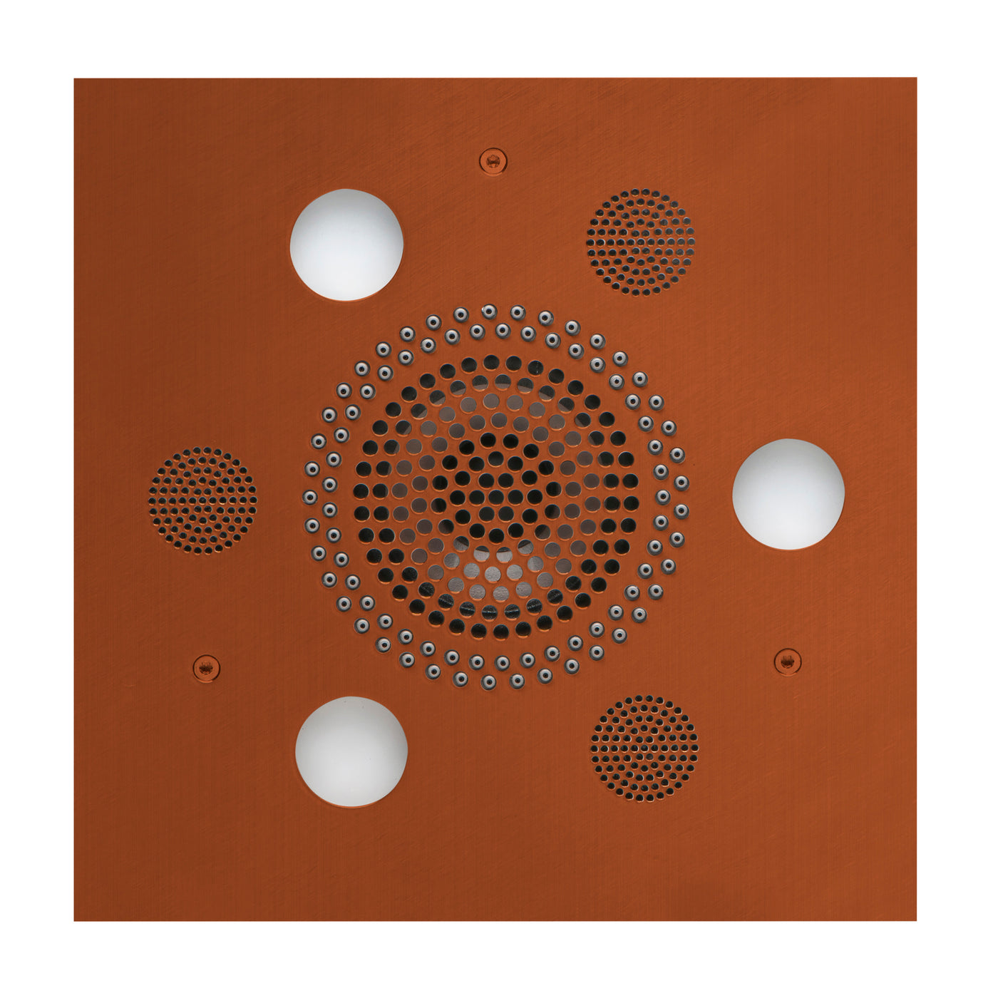 SLSRSQ-ACOP
