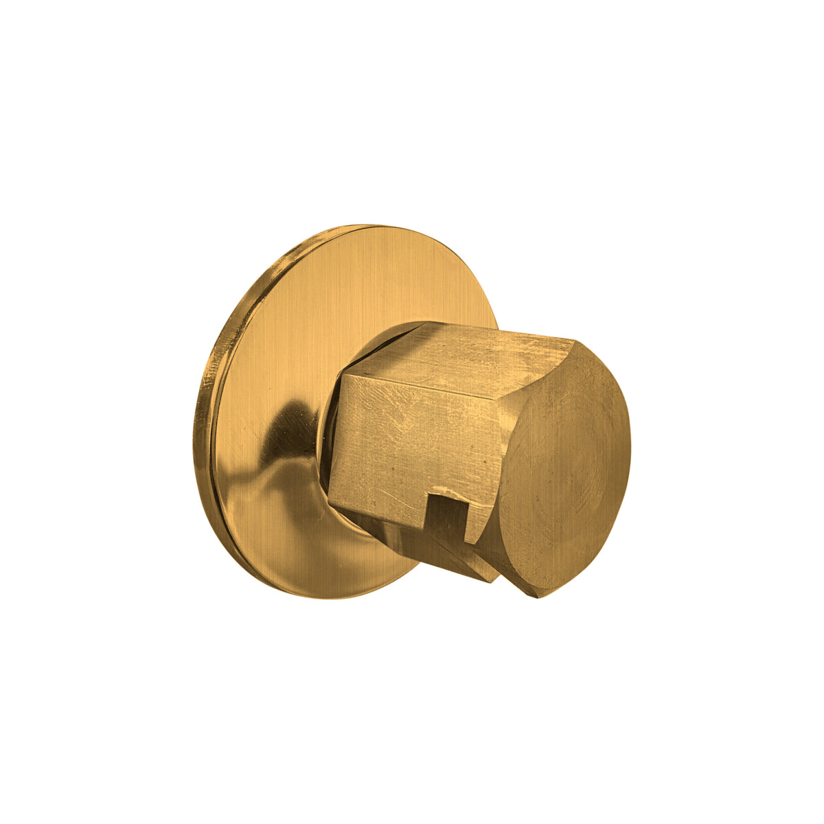 TSS-AB - elitewellnesshq Antique Brass (3/4in Rough)