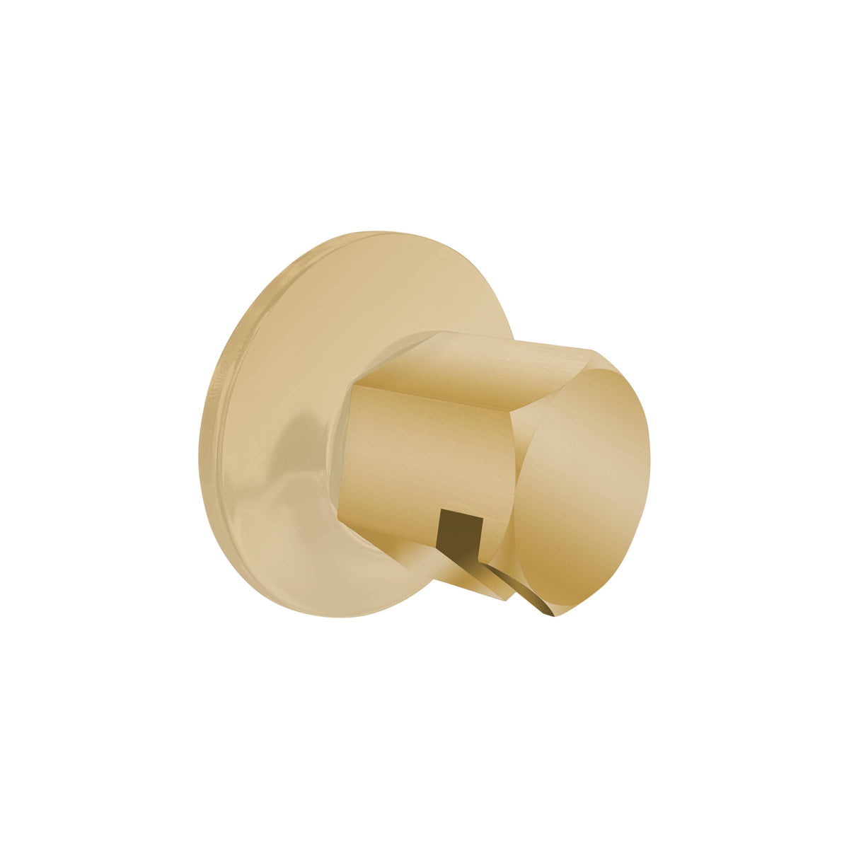 TSS-PB - elitewellnesshq Polished Brass (3/4in Rough)