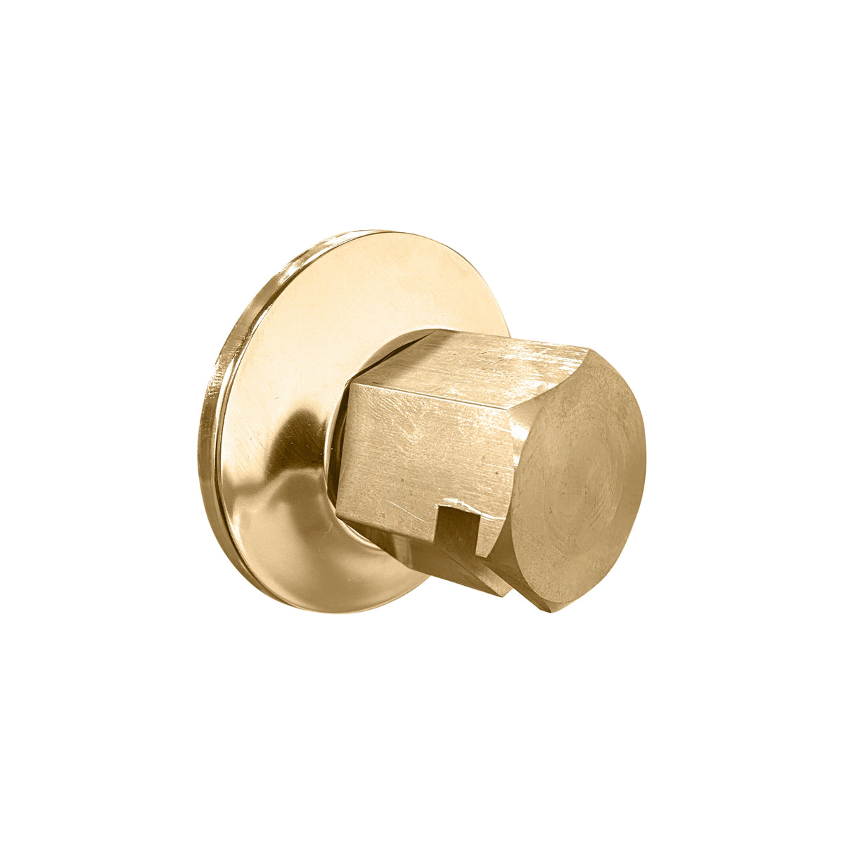 TSS-SB - elitewellnesshq Satin Brass (3/4in Rough)