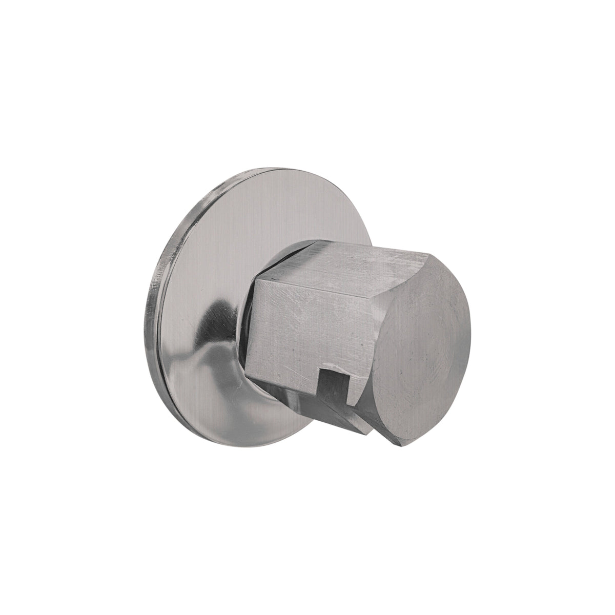 TSS-SC - elitewellnesshq Satin Chrome (3/4in Rough)