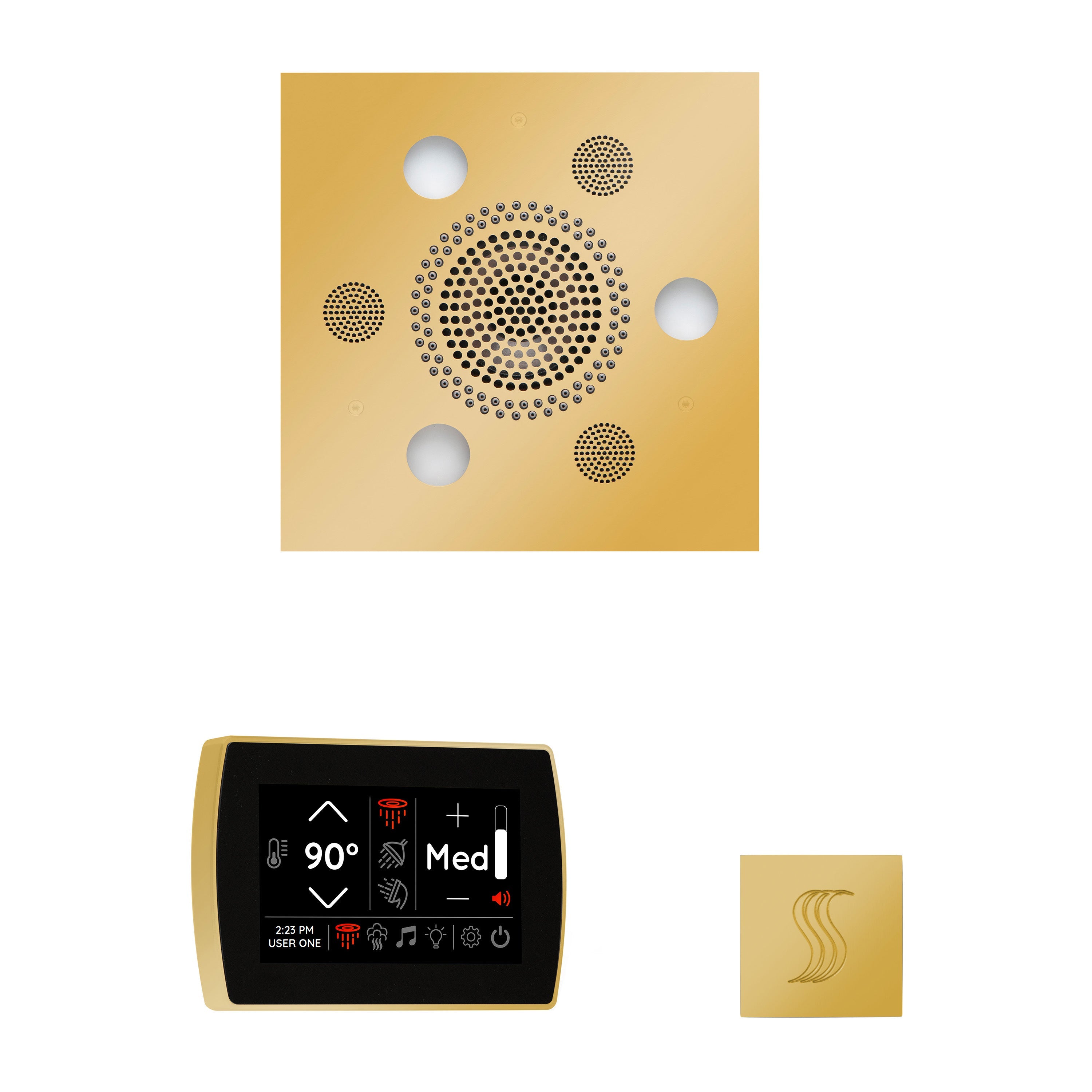 WSTPSS-PG - elitewellnesshq Polished Gold